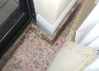 Carpet Repair 1
