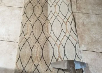 area rug 1