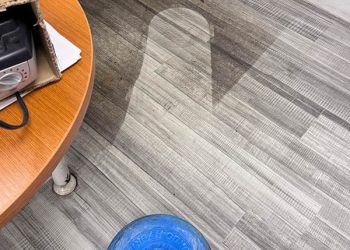 lvp cleaning