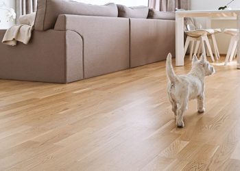 lvp flooring with puppy