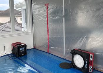 mold remediation